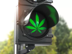 cannabis legalisierung